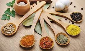 "India Knowledge Series"-"Ayurveda in Hungary" - 2024 November